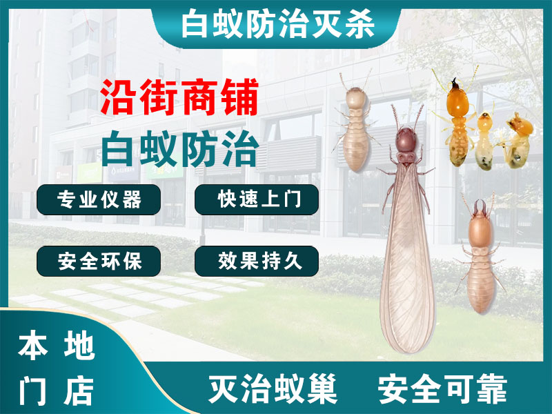 栖霞沿街商铺白蚁防治