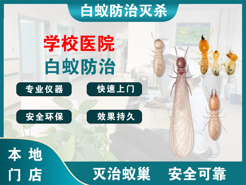 栖霞学校医院白蚁防治