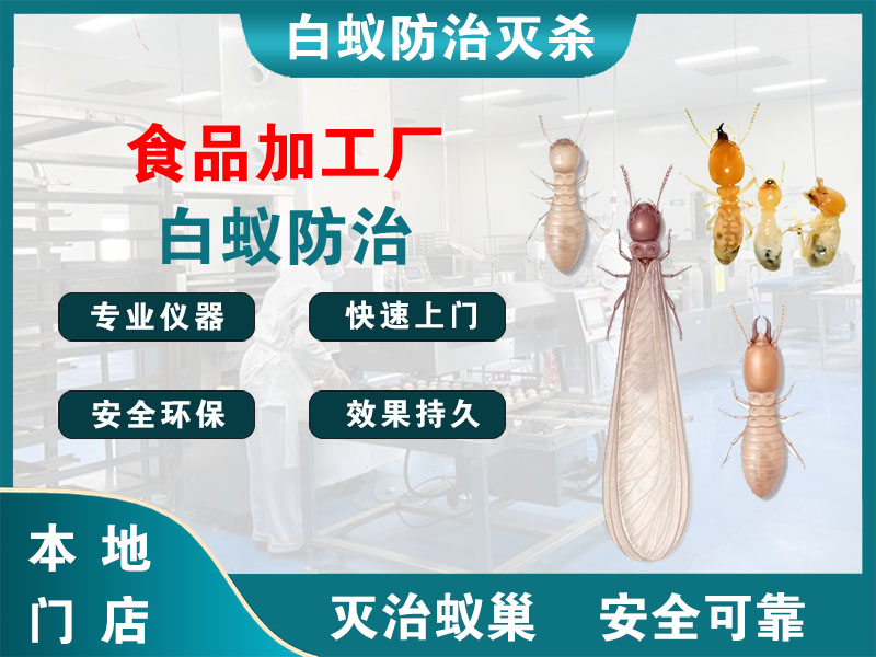 栖霞食品加工厂白蚁防治