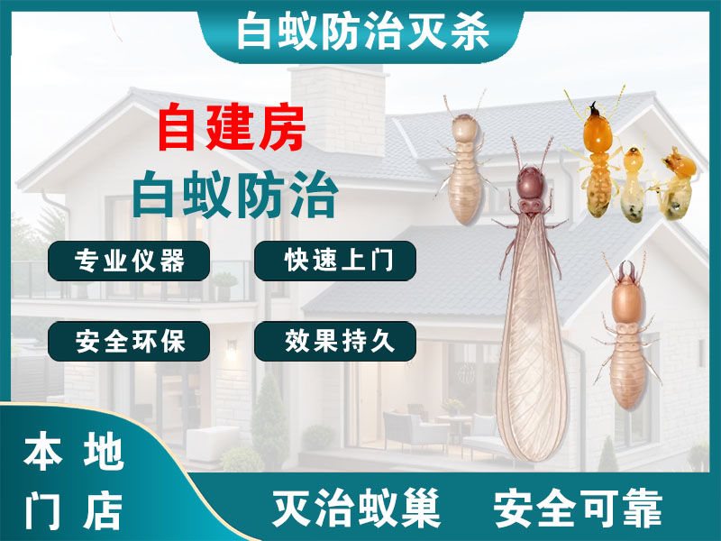 栖霞自建房白蚁防治