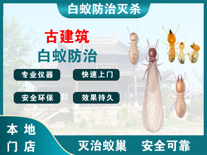 栖霞古建筑白蚁防治