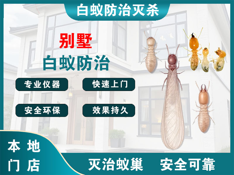 栖霞别墅白蚁防治