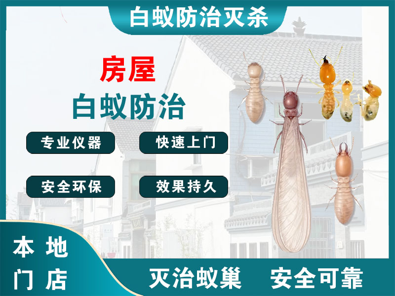 栖霞房屋白蚁防治